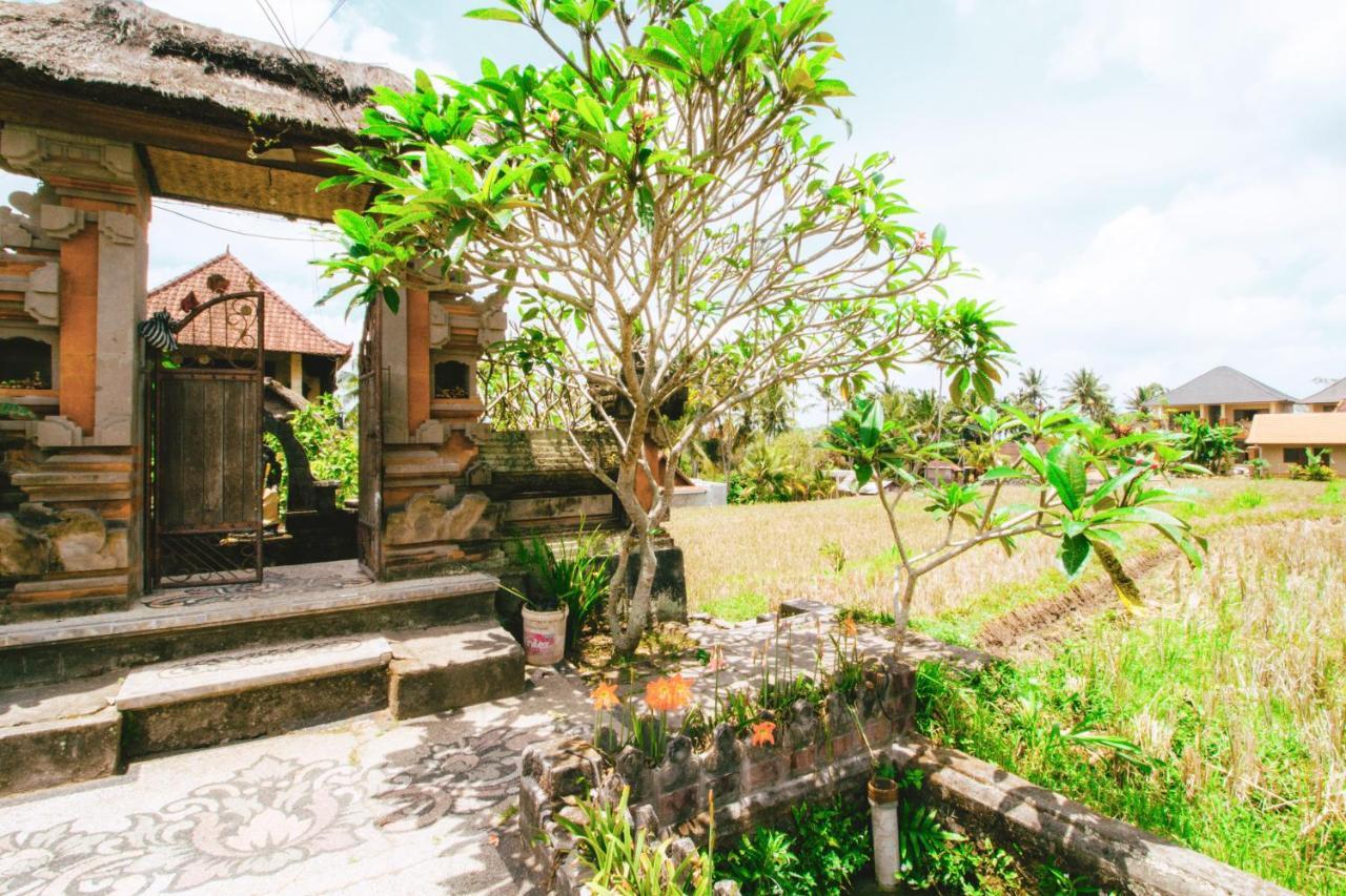 Nini Villa