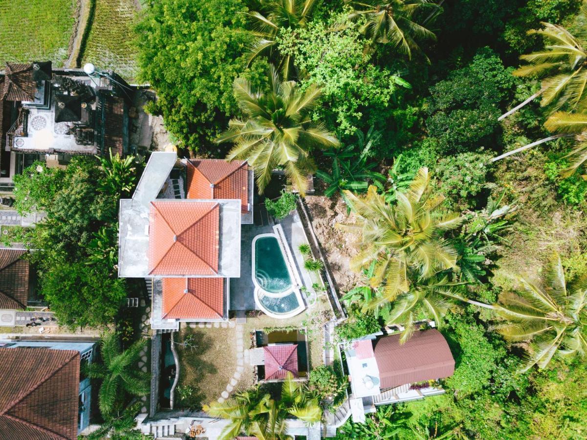 Nini Villa